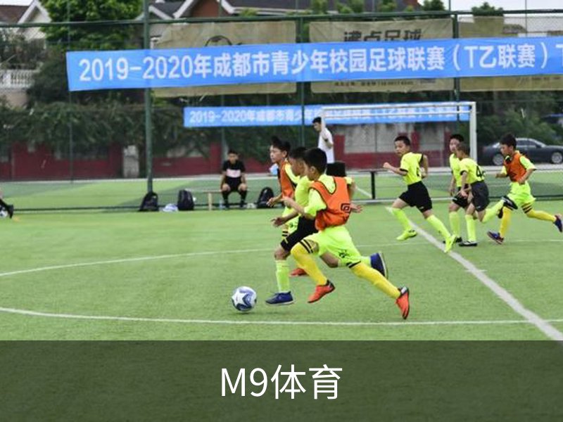 M9体育介绍